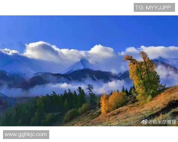 央视评论新疆足球明星展现拼搏精神与家乡情怀的双重魅力